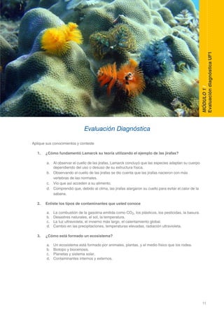 11
DOMINIO CIENTÍFICO
MÓDULO1/
EvaluacióndiagnósticaUF1
Aplique sus conocimientos y conteste
1.	 ¿Cómo fundamentó Lamarck su teoría utilizando el ejemplo de las jirafas?
a.	 Al observar el cuello de las jirafas, Lamarck concluyó que las especies adaptan su cuerpo
		 dependiendo del uso o desuso de su estructura física.
b.	 Observando el cuello de las jirafas se dio cuenta que las jirafas nacieron con más
		 vertebras de las normales.
c.	 Vio que así acceden a su alimento.
d.	 Comprendió que, debido al clima, las jirafas alargaron su cuello para evitar el calor de la
	 	 sabana.
2.	 Enliste los tipos de contaminantes que usted conoce
a.	 La combustión de la gasolina emitida como CO2, los plásticos, los pesticidas, la basura.
b.	 Desastres naturales, el sol, la temperatura.
c.	 La luz ultravioleta, el invierno más largo, el calentamiento global.
d.	 Cambio en las precipitaciones, temperaturas elevadas, radiación ultravioleta.
3.	 ¿Cómo está formado un ecosistema?
a.	 Un ecosistema está formado por animales, plantas, y el medio físico que los rodea.
b.	 Biotopo y biocenosis.
c.	 Planetas y sistema solar.
d.	 Contaminantes internos y externos.
Evaluación Diagnóstica
 