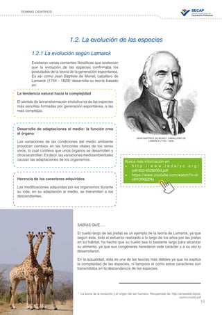 19
DOMINIO CIENTÍFICO
1.2.1 La evolución según Lamarck
Existieron varias corrientes filosóficas que sostenían
que la evolución de las especies confirmaba los
postulados de la teoría de la generación espontánea.
Es así como Jean Baptiste de Monet, caballero de
Lamarck (1744 - 1829)5
desarrolla su teoría basado
en:
SABÍAS QUE….
El cuello largo de las jirafas es un ejemplo de la teoría de Lamarck, ya que
según ésta, todo el esfuerzo realizado a lo largo de los años por las jirafas
en su hábitat, ha hecho que su cuello sea lo bastante largo para alcanzar
su alimento, ya que sus congéneres heredaron este carácter y a su vez lo
desarrollaron.
En la actualidad, ésta es una de las teorías más débiles ya que no explica
la complejidad de las especies, ni tampoco el cómo estos caracteres son
transmitidos en la descendencia de las especies.
1.2. La evolución de las especies
La tendencia natural hacia la complejidad
El sentido de la transformación evolutiva va de las especies
más sencillas formadas por generación espontánea, a las
más complejas.
Desarrollo de adaptaciones al medio: la función crea
al órgano
Las variaciones de las condiciones del medio ambiente
provocan cambios en las funciones vitales de los seres
vivos, lo cual conlleva que unos órganos se desarrollen y
otrosseatrofien.Esdecir,lasvariacionesmedioambientales
causan las adaptaciones de los organismos.
Herencia de los caracteres adquiridos
Las modificaciones adquiridas por los organismos durante
su vida, en su adaptación al medio, se transmiten a los
descendientes.
JEAN BAPTISTE DE MONET, CABALLERO DE
LAMARCK (1744 - 1829)
5
La teoría de la evolución y el origen del ser humano. Recuperado de: http://amesweb.tripod.
com/ccmc02.pdf
Busca más información en:
•	 h t t p : / / w w w . r e d a l y c . o r g /
pdf/402/40290304.pdf
•	 https://www.youtube.com/watch?v=d-
c9YDfXBZRo
 
