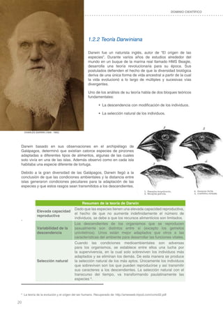 20
DOMINIO CIENTÍFICO
1.2.2 Teoría Darwiniana
Darwin fue un naturista inglés, autor de “El origen de las
especies”. Durante varios años de estudios alrededor del
mundo en un buque de la marina real llamado HMS Beagle,
desarrolla una teoría revolucionaria para su época. Sus
postulados defienden el hecho de que la diversidad biológica
deriva de una única forma de vida ancestral a partir de la cual
la vida evolucionó a lo largo de múltiples y sucesivas vías
divergentes.
Uno de los análisis de su teoría habla de dos bloques teóricos
fundamentales:
•	 La descendencia con modificación de los individuos.
•	 La selección natural de los individuos.
Darwin basado en sus observaciones en el archipiélago de
Galápagos, determinó que existían catorce especies de pinzones
adaptadas a diferentes tipos de alimentos, algunas de las cuales
solo vivía en una de las islas. Además observó como en cada isla
habitaba una especie diferente de tortuga.
Debido a la gran diversidad de las Galápagos, Darwin llegó a la
conclusión de que las condiciones ambientales y la distancia entre
islas generaron condiciones peculiares para la adaptación de las
especies y que estos rasgos sean transmitidos a los descendientes.
,
CHARLES DARWIN (1809 - 1882)
Resumen de la teoría de Darwin
Elevada capacidad
reproductiva
Dado que las especies tienen una elevada capacidad reproductiva,
el hecho de que no aumente indefinidamente el número de
individuos, se debe a que los recursos alimenticios son limitados.
Variabilidad de la
descendencia
Los descendientes de los organismos que se reproducen
sexualmente son distintos entre sí (excepto los gemelos
univitelinos). Unos están mejor adaptados que otros a las
características del ambiente para desarrollar las funciones vitales.
Selección natural
Cuando las condiciones medioambientales son adversas
para los organismos, se establece entre ellos una lucha por
la supervivencia, en la cual solo sobreviven los individuos más
adaptados y se eliminan los demás. De esta manera se produce
la selección natural de los más aptos. Únicamente los individuos
que sobreviven son los que pueden reproducirse y así transmitir
sus caracteres a los descendientes. La selección natural con el
transcurso del tiempo, va transformando paulatinamente las
especies 6
.
6
La teoría de la evolución y el origen del ser humano. Recuperado de: http://amesweb.tripod.com/ccmc02.pdf
 