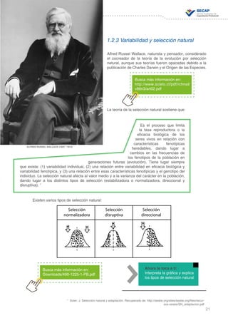 21
DOMINIO CIENTÍFICO
7
Soler, J. Selección natural y adaptación. Recuperado de: http://sesbe.org/sites/sesbe.org/files/recur-
sos-sesbe/SN_adaptacion.pdf
1.2.3 Variabilidad y selección natural
Alfred Russel Wallace, naturista y pensador, considerado
el cocreador de la teoría de la evolución por selección
natural, aunque sus teorías fueron opacadas debido a la
publicación de Charles Darwin y el Origen de las Especies.
La teoría de la selección natural sostiene que:
Existen varios tipos de selección natural:
Busca más información en:
http://www.scielo.cl/pdf/rchnat/
v86n3/art02.pdf
ALFRED RUSSEL WALLACE (1823 - 1913)
Selección
normalizadora
Selección
disruptiva
Selección
direccional
Busca más información en:
Downloads/490-1225-1-PB.pdf
Es el proceso que limita
la tasa reproductora o la
eficacia biológica de los
seres vivos en relación con
características fenotípicas
heredables, dando lugar a
cambios en las frecuencias de
los fenotipos de la población en
generaciones futuras (evolución). Tiene lugar siempre
que exista: (1) variabilidad individual, (2) una relación entre variabilidad en eficacia biológica y
variabilidad fenotípica, y (3) una relación entre esas características fenotípicas y el genotipo del
individuo. La selección natural afecta al valor medio y a la varianza del carácter en la población,
dando lugar a los distintos tipos de selección (estabilizadora o normalizadora, direccional y
disruptiva). 7
Ahora te toca a ti:
Interpreta la gráfica y explica
los tipos de selección natural
 