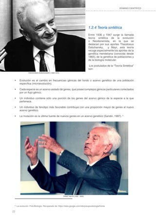 22
DOMINIO CIENTÍFICO
1.2.4 Teoría sintética
Entre 1936 y 1947 surge la llamada
teoría sintética de la evolución
o Neodarwinista, en la que se
destacan por sus aportes Theodosius
Dobzhansky, y Mayr, esta teoría
recoge especialmente los aportes de la
genética mendeliana (conocida desde
1865), de la genética de poblaciones y
de la biología molecular.
Los postulados de la “Teoría Sintética”
son:
•	 Evolución es el cambio en frecuencias génicas del fondo o acervo genético de una población
específica (microevolución).
•	 Cada especie es un acervo aislado de genes, que posee complejos génicos particulares conectados
por un flujo génico.
•	 Un individuo contiene sólo una porción de los genes del acervo génico de la especie a la que
pertenece.
•	 Un individuo de fenotipo más favorable contribuye con una proporción mayor de genes al nuevo
acervo genético.
•	 La mutación es la última fuente de nuevos genes en un acervo genético (Sandin, 1997). 8
8
La evolución. PreUBiología. Recuperado de: https://sites.google.com/site/preupsubiologia/home
THEODOSIUS DOBZHANSKY (1900-1975)
ERNST MAYR (1904 - 2005)
 