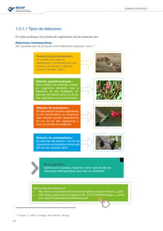 26
DOMINIO CIENTÍFICO
1.3.1.1 Tipos de relaciones
En orden jerárquico los niveles de organización de las especies son:
Relaciones interespecíficas:
Son aquellas que se producen entre diferentes especies, como: 10
Relación presa-depredador.-
Es cuando una especie
(depredador) se beneficia de otra
especie, la cual por lo general
muere (Campos, 2001).
Relación parásito-huésped.-
Esta relación se presenta cuando
un organismo (parásito) vive a
expensas de otro (huésped), en
este tipo de relación solo uno de los
dos organismos se ve beneficiado.
Relación de mutualismo.-
En esta relación los dos organismos
se ven beneficiados, en ocasiones
esta relación genera dependencia
en uno de los dos organismos y
toma el nombre de simbiosis.
Relación de comensalismo.-
En este tipo de relación, uno de los
organismos se beneficia (comensal)
del otro sin causarle daño.
10
Campos, C. (2001). Ecología. Zeta editores, 109 pág.
Busca más información en:
•	 http://www.um.es/sabio/docs-cmsweb/materias-may25-45/tema_5.pdf
•	 http://www.sisal.unam.mx/labeco/LAB_ECOLOGIA/Ecologia_y_evolu-
cion_files/IV%20factores%20bioticos.pdf
Sé un científico:
Camina por un parque, observa y toma nota del tipo de
relaciones interespecíficas que hay a tu alrededor.
 
