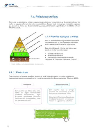 30
DOMINIO CIENTÍFICO
Dentro de un ecosistema existen organismos productores, consumidores y descomponedores, los
cuales se agrupan o forman diferentes niveles tróficos. Es decir cada nivel agrupa a todas las especies
que poseen un mismo tipo de alimentación y para su alimentación depende de un nivel trófico inferior
(Martínez, 2008).
1.4.1 Pirámide ecológica o niveles
Esta es la representación gráfica de la estructura
de una red trófica, la cual representa los niveles
en la cadena alimenticia de los organismos.
Esta pirámide puede informar los valores que
aporta el nivel al ecosistema así:
•	 Cantidad de biomasa
•	 Número de individuos
•	 La energía que almacena cada nivel
(Ministerio de Educación Pública del Ecuador).
1.4.1.1 Productores
Este constituye la base de la cadena alimenticia, en él están agrupados todos los organismos
capaces de producir su propio alimento u organismos autótrofos. Estos pueden ser (Martínez, 2008):
1.4. Relaciones tróficas
PIRÁMIDE ECOLÓGICA, NIVELES ALIMENTICIOS DE LOS ORGANISMOS.
Busca más información en:
http://www.um.es/sabio/docs-cmsweb/mate-
rias-may25-45/tema_5.pdf
Fotótrofos Quimiolitótrofos
Son aquellos que utilizan la luz solar,
como: las algas verdeazuladas
(bacterias fotosintéticas), algas
eucariotas unicelulares (protozoos
fotosintéticos), pluricelulares y todas
las plantas en general.
Son aquellos que su energía
proviene de reacciones químicas
inorgánicas exotérmicas, como:
Bacteriasnitrificantes,sulfobacterias,
ferrobacterias (suelen ser escasas y
habitan en lugares muy extraños).
 