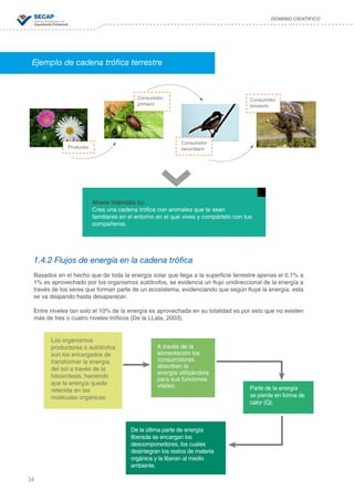 34
DOMINIO CIENTÍFICO
Ahora inténtalo tú:
Crea una cadena trófica con animales que te sean
familiares en el entorno en el que vives y compártelo con tus
compañeros.
Consumidor
primario
Consumidor
terceario
Productor
Consumidor
secundario
Ejemplo de cadena trófica terrestre
1.4.2 Flujos de energía en la cadena trófica
Basados en el hecho que de toda la energía solar que llega a la superficie terrestre apenas el 0,1% a
1% es aprovechado por los organismos autótrofos, se evidencia un flujo unidireccional de la energía a
través de los seres que forman parte de un ecosistema, evidenciando que según fluye la energía, esta
se va disipando hasta desaparecer.
Entre niveles tan solo el 10% de la energía es aprovechada en su totalidad es por esto que no existen
más de tres o cuatro niveles tróficos (De la LLata, 2003).
Los organismos
productores o autótrofos
son los encargados de
transformar la energía
del sol a través de la
fotosíntesis, haciendo
que la energía quede
retenida en las
moléculas orgánicas.
Parte de la energía
se pierde en forma de
calor (Q).
A través de la
alimentación los
consumidores
absorben la
energía utilizándola
para sus funciones
vitales.
De la última parte de energía
liberada se encargan los
descomponedores, los cuales
desintegran los restos de materia
orgánica y la liberan al medio
ambiente.
 
