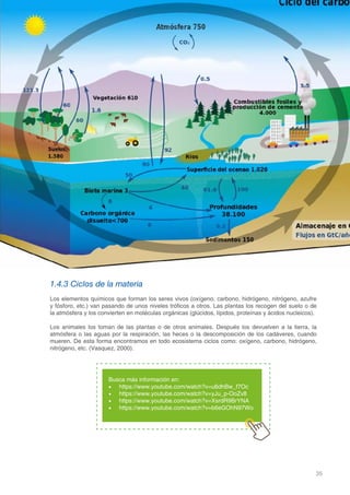 35
DOMINIO CIENTÍFICO
1.4.3 Ciclos de la materia
Los elementos químicos que forman los seres vivos (oxígeno, carbono, hidrógeno, nitrógeno, azufre
y fósforo, etc.) van pasando de unos niveles tróficos a otros. Las plantas los recogen del suelo o de
la atmósfera y los convierten en moléculas orgánicas (glúcidos, lípidos, proteínas y ácidos nucleicos).
Los animales los toman de las plantas o de otros animales. Después los devuelven a la tierra, la
atmósfera o las aguas por la respiración, las heces o la descomposición de los cadáveres, cuando
mueren. De esta forma encontramos en todo ecosistema ciclos como: oxígeno, carbono, hidrógeno,
nitrógeno, etc. (Vasquez, 2000).
Busca más información en:
•	 https://www.youtube.com/watch?v=u6dhBw_f7Oc
•	 https://www.youtube.com/watch?v=yJu_p-OoZv8
•	 https://www.youtube.com/watch?v=XsrdR9BrYNA
•	 https://www.youtube.com/watch?v=b6eGOhN97Wo
 