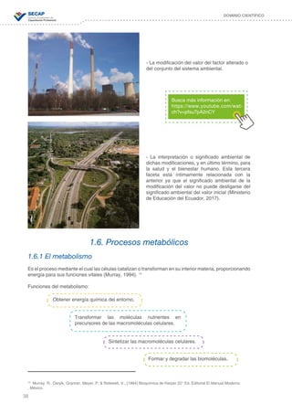 38
DOMINIO CIENTÍFICO
- La modificación del valor del factor alterado o
del conjunto del sistema ambiental.
- La interpretación o significado ambiental de
dichas modificaciones, y en último término, para
la salud y el bienestar humano. Esta tercera
faceta está íntimamente relacionada con la
anterior ya que el significado ambiental de la
modificación del valor no puede desligarse del
significado ambiental del valor inicial (Ministerio
de Educación del Ecuador, 2017).
Busca más información en:
https://www.youtube.com/wat-
ch?v=pfsu7pA2nCY
1.6. Procesos metabólicos
1.6.1 El metabolismo
Es el proceso mediante el cual las células catalizan o transforman en su interior materia, proporcionando
energía para sus funciones vitales (Murray, 1994). 13
Funciones del metabolismo:
Obtener energía química del entorno.
Transformar las moléculas nutrientes en
precursores de las macromoléculas celulares.
Sintetizar las macromoléculas celulares.
Formar y degradar las biomoléculas.
13
Murray, R., Darylk, Granner, Meyer, P, & Rotewell, V., (1994) Bioquímica de Harper 22° Ed. Editorial El Manual Moderno
. México.
 