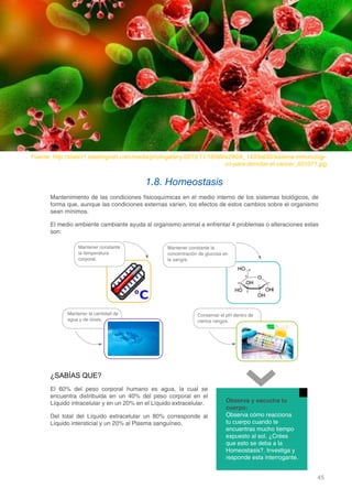 45
DOMINIO CIENTÍFICO
1.8. Homeostasis
Mantenimiento de las condiciones fisicoquímicas en el medio interno de los sistemas biológicos, de
forma que, aunque las condiciones externas varíen, los efectos de estos cambios sobre el organismo
sean mínimos.
El medio ambiente cambiante ayuda al organismo animal a enfrentar 4 problemas o alteraciones estas
son:
¿SABÍAS QUE?
El 60% del peso corporal humano es agua, la cual se
encuentra distribuida en un 40% del peso corporal en el
Líquido intracelular y en un 20% en el Líquido extracelular.
Del total del Líquido extracelular un 80% corresponde al
Líquido intersticial y un 20% al Plasma sanguíneo.
Fuente: http://staticr1.blastingcdn.com/media/photogallery/2015/11/18/660x290/b_1433x630/sistema-inmunologi-
co-para-derrotar-el-cancer_501071.jpg
Mantener constante
la temperatura
corporal.
Mantener constante la
concentración de glucosa en
la sangre.
Mantener la cantidad de
agua y de iónes.
Conservar el pH dentro de
ciertos rangos.
Observa y escucha tu
cuerpo:
Observa cómo reacciona
tu cuerpo cuando te
encuentras mucho tiempo
expuesto al sol. ¿Crées
que esto se deba a la
Homeostasis?. Investiga y
responde esta interrogante.
 