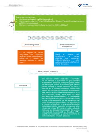 49
DOMINIO CIENTÍFICO
Barreras secundarias, internas, inespecíficas e innatas
Barrera interna específica
Busca más información en:
•	 http://scielo.isciii.es/pdf/nh/v22s2/fisiologia2.pdf
•	 http://www.cinvestav.mx/Portals/0/SiteDocs/Sec_Difusion/RevistaCinvestav/enero-mar-
zo2007/inmunobiologia.pdf
•	 http://www.medigraphic.com/pdfs/derrevmex/rmd-2008/rmd085b.pdf
Células sanguíneas Células biomoléculas
inactivadoras
Es un conjunto de células
sanguíneas con capacidad
fagocítica, como los macrófagos,
granulocitos y células NK
(asesinas naturales o “natural
killer”) 20
Como el sistema del
complemento y ciertas
citocinas, que reaccionan
indiscriminadamente ante
cualquier elemento extraño en el
interior del cuerpo.
Linfocitos
Son proteínas solubles producidas y secretadas
por los linfocitos T, que tienen una gran variedad
de actividades biológicas como por ejemplo: atraer
los macrófagos, activar a los macrófagos, destruir
células extrañas o células infectadas por virus y
participar en el proceso inflamatorio. Sirven como
señales de comunicación intercelular. Existen varios
tipos, siendo las principales la interleuquina 2 (IL-2)
producida por las células T y que actúa como señal
entre leucocitos; la interleuquina 1 (IL-1) producida
por macrófagos se conoce como pirógeno endógeno
ya que es la responsable de las alteraciones del
centro hipotalámico que conducen a la fiebre durante
la infección; el interferón es una pequeña proteína
producida por células eucariotas en respuesta a las
infecciones víricas. El interferón actúa activando
moléculas que bloquean la replicación del genoma
vírico (activa la ribonucleasa L que degrada el mRNA
parando la transcripción) y además incrementa la
citotoxicidad de las células T (Mateos).
20
Sistema inmunitario. Reuperado de: http://iescamp.edu.gva.es/moodle21/pluginfile.php/6845/mod_resource/content/1/siste-
ma-inmunitario.pdf
 