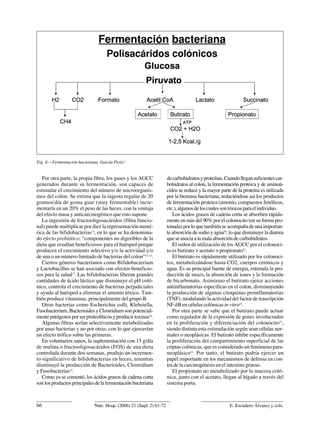 Fermentación bacteriana
                                     Polisacáridos colónicos




Fig. 4.—Fermentación bacteriana. García Peris13.


   Por otra parte, la propia fibra, los gases y los AGCC              de carbohidratos y proteínas. Cuando llegan suficientes car-
generados durante su fermentación, son capaces de                     bohidratos al colon, la fermentación proteica y de aminoá-
estimular el crecimiento del número de microorganis-                  cidos se reduce y la mayor parte de la proteína es utilizada
mos del colon. Se estima que la ingesta regular de 20                 por la biomasa bacteriana, reduciéndose así los productos
gramos/día de goma guar (muy fermentable) incre-                      de fermentación proteica (amonio, compuestos fenólicos,
mentaría en un 20% el peso de las heces, con la ventaja               etc.), algunos de los cuales son tóxicos para el individuo.
del efecto masa y anticarcinogénico que esto supone.                     Los ácidos grasos de cadena corta se absorben rápida-
   La ingestión de fructooligosacáridos (fibra funcio-                mente en más del 90% por el colonocito (en su forma pro-
nal) puede multiplicar por diez la representación numé-               tonada) por lo que también se acompaña de una importan-
rica de las bifidobacterias14, en lo que se ha denomina-              te absorción de sodio y agua20, lo que disminuye la diarrea
do efecto prebiótico: “componentes no digeribles de la                que se asocia a la mala absorción de carbohidratos.
dieta que resultan beneficiosos para el huésped porque                   El orden de utilización de los AGCC por el colonoci-
producen el crecimiento selectivo y/o la actividad y/o                to es butirato > acetato > propionato21.
de una o un número limitado de bacterias del colon”15, 16.               El butirato es rápidamente utilizado por los colonoci-
   Ciertos géneros bacterianos como Bifidobacterium                   tos, metabolizándose hasta CO2, cuerpos cetónicos y
y Lactobacillus se han asociado con efectos beneficio-                agua. Es su principal fuente de energía, estimula la pro-
sos para la salud17. Las bifidobacterias liberan grandes              ducción de moco, la absorción de iones y la formación
cantidades de ácido láctico que disminuye el pH coló-                 de bicarbonato. Asimismo el butirato ejerce acciones
nico, controla el crecimiento de bacterias perjudiciales              antiinflamatorias especificas en el colon, disminuyendo
y ayuda al huésped a eliminar el amonio tóxico. Tam-                  la producción de algunas citoquinas proinflamatorias
bién produce vitaminas, principalmente del grupo B.                   (TNF), modulando la actividad del factor de trascripción
   Otras bacterias como Escherichia colli, Klebsiella,                NF-êB en células colónicas in vitro22.
Fusobacterium, Bacterioides y Clostridium son potencial-                 Por otra parte se sabe que el butirato puede actuar
mente patógenos por ser proteolíticos y producir toxinas18.           como regulador de la expresión de genes involucrados
   Algunas fibras serían selectivamente metabolizadas                 en la proliferación y diferenciación del colonocito23,
por unas bacterias y no por otras, con lo que ejercerían              siendo distinta esta estimulación según sean células nor-
un efecto trófico sobre las primeras.                                 males o neoplásicas. El butirato inhibe específicamente
   En voluntarios sanos, la suplementación con 15 g/día               la proliferación del compartimiento superficial de las
de inulina o fructooligosacáridos (FOS) de una dieta                  criptas colónicas, que es considerado un fenómeno para-
controlada durante dos semanas, produjo un incremen-                  neoplásico24. Por tanto, el butirato podría ejercer un
to significativo de bifidobacterias en heces, mientras                papel importante en los mecanismos de defensa en con-
disminuyó la producción de Bacterioides, Clostridium                  tra de la carcinogénesis en el intestino grueso.
y Fusobacterias19.                                                       El propionato no metabolizado por la mucosa coló-
   Como ya se comentó, los ácidos grasos de cadena corta              nica, junto con el acetato, llegan al hígado a través del
son los productos principales de la fermentación bacteriana           sistema porta.



66                            Nutr. Hosp. (2006) 21 (Supl. 2) 61-72                                   E. Escudero Álvarez y cols.
 