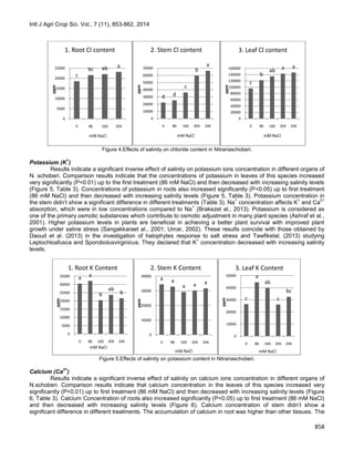 Intl J Agri Crop Sci. Vol., 7 (11), 853-862, 2014
858
Figure 4.Effects of salinity on chloride content in Nitrariaschoberi.
Potassium (K
+
)
Results indicate a significant inverse effect of salinity on potassium ions concentration in different organs of
N. schoberi. Comparison results indicate that the concentrations of potassium in leaves of this species increased
very significantly (P<0.01) up to the first treatment (86 mM NaCl) and then decreased with increasing salinity levels
(Figure 5, Table 3). Concentrations of potassium in roots also increased significantly (P<0.05) up to first treatment
(86 mM NaCl) and then decreased with increasing salinity levels (Figure 5, Table 3). Potassium concentration in
the stem didn’t show a significant difference in different treatments (Table 3). Na
+
concentration affects K
+
and Ca
2+
absorption, which were in low concentrations compared to Na
+
(Brakezet al., 2013). Potassium is considered as
one of the primary osmotic substances which contribute to osmotic adjustment in many plant species (Ashraf et al.,
2001). Higher potassium levels in plants are beneficial in achieving a better plant survival with improved plant
growth under saline stress (Sangakkaraet al., 2001; Umar, 2002). These results coincide with those obtained by
Daoud et al. (2013) in the investigation of halophytes response to salt stress and Tawfiketal. (2013) studying
Leptochloafusca and Sporobolusvirginicus. They declared that K
+
concentration decreased with increasing salinity
levels.
Figure 5.Effects of salinity on potassium content in Nitrariaschoberi.
Calcium (Ca
2+
)
Results indicate a significant inverse effect of salinity on calcium ions concentration in different organs of
N.schoberi. Comparison results indicate that calcium concentration in the leaves of this species increased very
significantly (P<0.01) up to first treatment (86 mM NaCl) and then decreased with increasing salinity levels (Figure
6, Table 3). Calcium Concentration of roots also increased significantly (P<0.05) up to first treatment (86 mM NaCl)
and then decreased with increasing salinity levels (Figure 6). Calcium concentration of stem didn’t show a
significant difference in different treatments. The accumulation of calcium in root was higher than other tissues. The
c
bc ab a
0
5000
10000
15000
20000
25000
0 86 160 204
ppm
mM NaCl
1. Root Cl content
d d
c
b
a
0
10000
20000
30000
40000
50000
60000
70000
0 86 160 204 246
ppm
mM NaCl
2. Stem Cl content
c
b
ab a a
0
20000
40000
60000
80000
100000
120000
140000
160000
0 86 160 204 246
ppm
mM NaCl
3. Leaf Cl content
a a
b
ab
b
0
5000
10000
15000
20000
25000
30000
35000
0 86 160 204 246
ppm
mM NaCl
1. Root K Content
a a
a a a
0
10000
20000
30000
40000
0 86 160 204 246
ppm
mM NaCl
2. Stem K Content
c
a
ab
c
bc
0
10000
20000
30000
40000
50000
0 86 160 204 246
ppm
mM NaCl
3. Leaf K Content
 