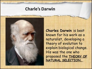 Module-3-Biodiversity-and-Evolution (1).pptx