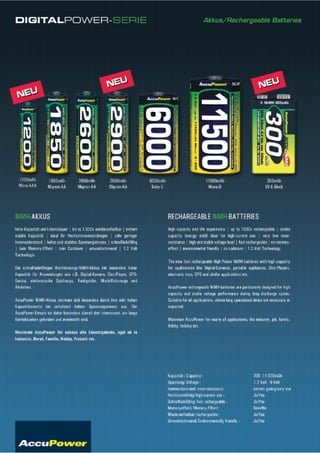 AccuPower Produktkatalog 2009