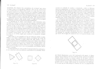 arte-y-percepcion-visual-rudolf-arnheim Slide 59