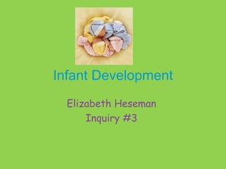 Infant Development  Elizabeth Heseman  Inquiry #3  