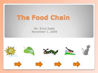 The Food Chain By: Erica Seals November 1, 2009 