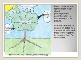 Based on what we learned last week about photosynthesis, describe what is happening in this picture. Use the captions to explain in detail how the sun, clouds, and trees work together to produce food for consumers.techalive.mtu.edu/.../images/photosynthesis.jpg