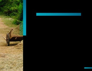 Viet Nam is well-settled in the ranks of countries that have achieved medium human
development, and is on track to meet, or has met, a majority of the Millennium Development
Goals at a national level – with the exception of MDG 6 on combating HIV and other diseases,
and the water and sanitation targets of MDG 7. Viet Nam is increasingly active within
international organizations, trade with global markets continues to grow, and in many ways
the future looks bright.
At the same time, a set of persistent and emerging challenges threatenViet Nam’s development
progress in the near to medium term. These include macroeconomic instability; a rapidly
changing demographic profile; environmental degradation; climate change; rising disparities;
growing urban, migrant and other forms of poverty; job creation for hundreds of thousands
of new labour market entrants; the need to improve labourers’ skills and productivity; threats
to food security and food safety; lack of access to social services and social security; gender
inequality; and the need to modernize institutions and overcome corruption.
The national SEDS for 2011-2020 and a recent independent analysis by the UN1
both noted
the need for a greater balance between economic growth and social, human and sustainable
development goals if Viet Nam’s future growth is to be of high quality and sustainable –
ensuring that all citizens benefit from the development process, including most vulnerable
and disadvantaged.
1 	 Joint Country Analysis of Viet Nam, Brian Van Arkadie et al, 2010.
Focus areas for 2012-2016
The United Nations in Viet Nam 45
 