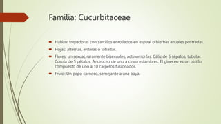 Familia: Cucurbitaceae
 Habito: trepadoras con zarcillos enrollados en espiral o hierbas anuales postradas.
 Hojas: alte...