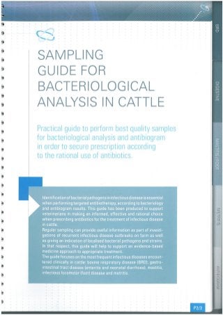 Cattle bacteriological sampling guide global Ceva by L. Mascaron