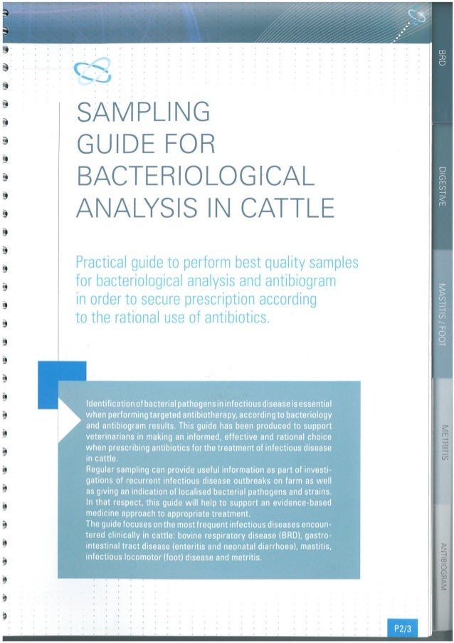 Cattle bacteriological sampling guide global Ceva by L. Mascaron