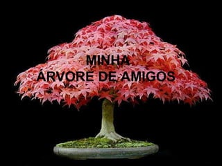 MINHA
ÁRVORE DE AMIGOS
 