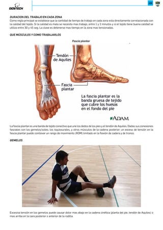 78 
Con respecto a esta tabla HRISTO HRISTOV indicó que series con un número mayor a 6 repeticiones no se deben realizar ya 
que provocan un alto índice de fatiga. Extendió esta definición al referirse también a los levantamientos olímpicos. 
98=.7,2* 
Máxima capacidad de fuerza y velocidad que el Sistema Neuromuscular es capaz de producir. 
Utilizaremos 5 métodos para desarrollar potencia: 
P/*.: PLIOMETRIA 
P/*.: DESTREZAS DE MOVIMIENTO 
P/*.: BLOQUE DE POTENCIA 
P/*.: BLOQUE DE FUERZA 1io Y 2io 
P/*.´ 