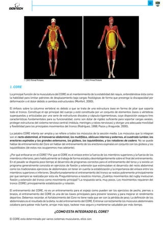 11 
,8;. 
La principal función de la musculatura del CORE es el mantenimiento de la estabilidad del raquis, entendiéndose ésta como 
la habilidad para limitar patrones de desplazamiento bajo cargas fisiológicas de forma que prevenga la discapacidad por 
deformación o el dolor debido a cambios estructurales (Monfort, 2000). 
El énfasis sobre la columna vertebral es debido a que se trata de una estructura ósea en forma de pilar que soporta 
todo el tronco. Constituye el eje principal del cuerpo y está constituida por un conjunto de elementos óseos o vértebras 
superpuestas y articuladas por una serie de estructuras discales y cápsulo-ligamentosas, cuya disposición asegura tres 
características fundamentales para su funcionalidad, como son dotar de rigidez suficiente para soportar cargas axiales, 
proteger estructuras del sistema nervioso central (médula, meninges y raíces nerviosas) y otorgar una adecuada movilidad 
y flexibilidad para los principales movimientos del tronco (Rodríguez, 1998; Pazos y Aragunde, 2000). 
La palabra CORE intenta ser amplia y se refiere a todos los músculos de la sección media. Los músculos que lo integran 
son el [NL]XJKMXVRWJUNU][JW_N[XJKMXVRWJUUXV^U]RǌM^XKURL^XRW]N[WXbNa]N[WXNUL^JM[JMXU^VKJ[UX 
N[NL]X[NNYRWJUNbUXP[JWMNNa]NWX[NUXPUČ]NXUXRZ^RX]RKRJUNbUX[X]JMX[NMNLJMN[J. No se puede 
hablar de entrenamiento del Core sin hablar del entrenamiento de los erectores espinales en conjunto con los glúteos y los 
isquiotibiales (de estos nos ocuparemos mas adelante). 
¿Por qué enfocarse en el CORE? Por que el CORE es el enlace entre la fuerza de los miembros superiores y la fuerza de los 
miembros inferiores, pero habitualmente se trabaja de forma aislada y desinteligentemente sobre el final del entrenamiento. 
En el pasado se disponía poco tiempo al desarrollo de programas correctos para el entrenamiento del torso y si existía un 
programa generalmente consistía en ejercicios de flexión y extensión que estimulaban el desarrollo del recto abdominal 
como los tradicionales ejercicios de abdominales sin tener en cuenta la estabilización y la importancia del enlace entre los 
miembros superiores e inferiores. Desafortunadamente el entrenamiento del tronco se realizo pobremente principalmente 
por que siempre se realizaba por esta vía. Preguntémonos a nosotros mismos ¿Cuántos movimientos del rugby involucran 
flexión y extensión del tronco como movimiento principal? La respuesta seria, muy pocos. Los movimientos requieren del 
tronco (CORE) principalmente estabilización y rotación. 
El entrenamiento del CORE, no es un entrenamiento para el espejo como pueden ser los ejercicios de pecho, piernas o 
brazos, el entrenamiento del CORE es una de las llaves principales para prevenir lesiones y para mejorar el rendimiento 
deportivo. Debemos recordar, el fortalecimiento del Core no tiene nada que ver con la pérdida de peso. La definición de los 
abdominales es el resultado de la dieta, no del entrenamiento del CORE. Entrenar correctamente los músculos abdominales 
colabora para patear más fuerte, arrojar más lejos, tackear mas seguro y mantenerse saludable por más tiempo. 
{,868.=*27=.0;*-8.5,8;.( 
El CORE esta determinado por varios sistemas musculares, ellos son: 
 