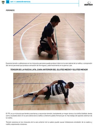 ´ 
PLIOMETRIA: Ya fue descripta en Formación Física de Base. 
DESTREZAS DE MOVIMIENTOS: Ya fue descripta en Formación Física de Base 
BLOQUE DE POTENCIA: Trabajo en el gimnasio. 
Los bloques utilizados para el desarrollo de la potencia serán: 
98=.7,2* 
POTENCIA 
BLOQUE 1io DE FUERZA 
BLOQUE 2io DE FUERZA 
ROTACIONAL 
´ 