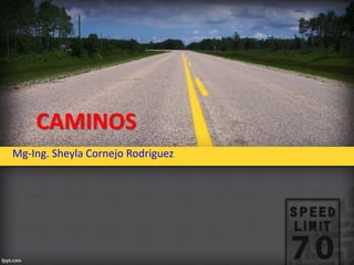 CAMINOS
Mg-Ing. Sheyla Cornejo Rodriguez
 