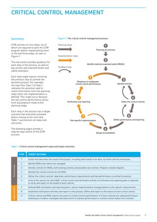 ICMM | PDF