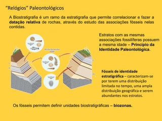 A Biostratigrafia é um ramo da estratigrafia que permite correlacionar e fazer a
datação relativa de rochas, através do estudo das associações fósseis nelas
contidas.
“Relógios” Paleontológicos
Estratos com as mesmas
associações fossilíferas possuem
a mesma idade – Princípio da
Identidade Paleontológica.
Os fósseis permitem definir unidades biostratigráficas – biozonas.
Fósseis de identidade
estratigráfica – caracterizam-se
por terem uma distribuição
limitada no tempo, uma ampla
distribuição geográfica e serem
abundantes nos estratos.
 