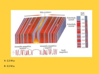 A- 2,5 M.a.
B- 3,5 M.a.
 