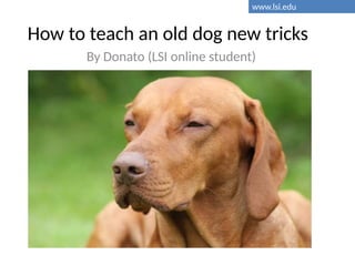 How to teach an old dog new tricks
By Donato (LSI online student)
www.lsi.edu
 