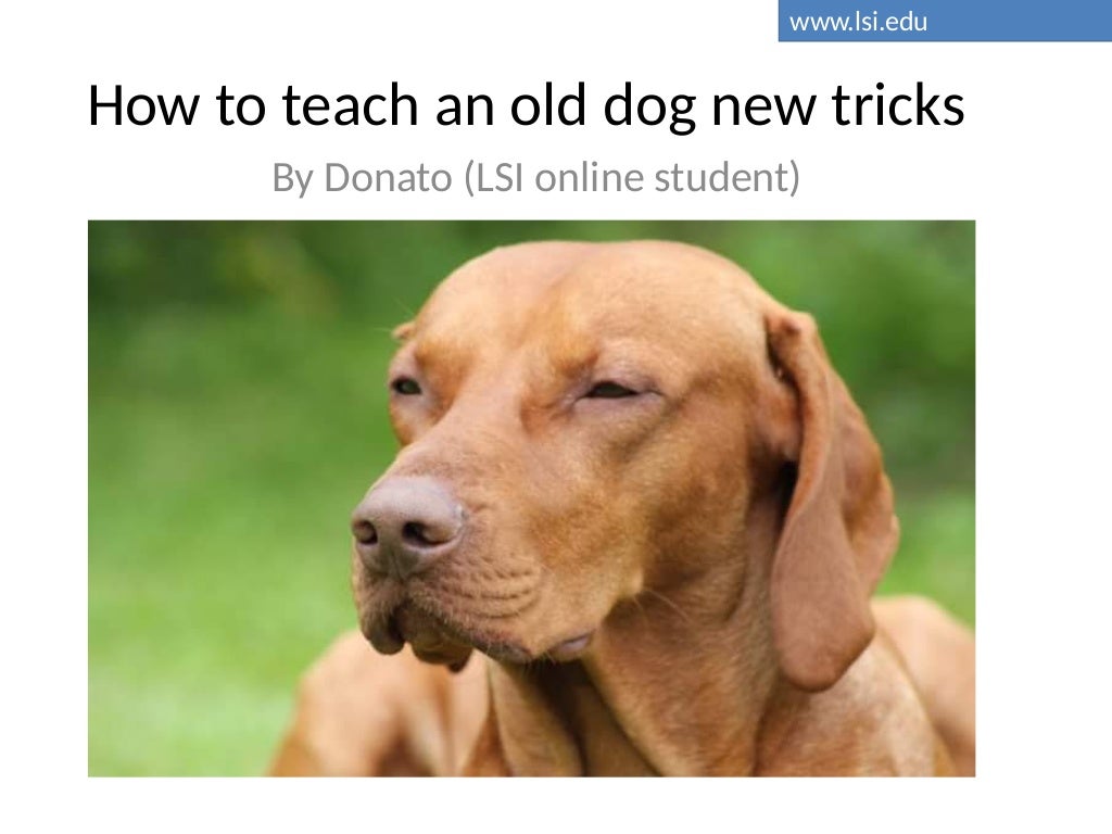 How to teach an old dog new tricks