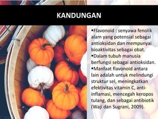 KANDUNGAN
Flavonoid : senyawa fenolik
alam yang potensial sebagai
antioksidan dan mempunyai
bioaktivitas sebagai obat.
Dalam tubuh manusia
berfungsi sebagai antioksidan.
Manfaat flavonoid antara
lain adalah untuk melindungi
struktur sel, meningkatkan
efektivitas vitamin C, anti-
inflamasi, mencegah keropos
tulang, dan sebagai antibiotik
(Waji dan Sugrani, 2009).
 