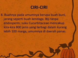 CIRI-CIRI
8. Buahnya pada umumnya berupa buah buni,
jarang seperti buah kendaga. Biji tanpa
endosperm, suku Cucurbitaceae mencakup
kira-kira 800 jenis yang terbagi dalam kurang
lebih 100 marga, umumnya di daerah panas.
 