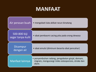 MANFAAT
• mengobati luka akibat racun binatang
Air perasan buah
• obat pembasmi cacing pita pada orang dewasa
500-800 biji
segar tanpa kulit
• obat emulsi (diminum beserta obat pencahar)
Dicampur
dengan air
• penyembuhan radang, pengobatan ginjal, demam,
migrain, mengurangi risiko osteoporosis, stroke dan
diare.
Manfaat lainnya
 