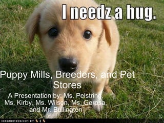 Puppy Mills, Breeders, and Pet Stores A Presentation by: Ms. Pelstring, Ms. Kirby, Ms. Wilson, Ms. Gerosa, and Mr. Bullington 
