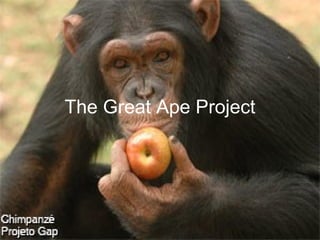 The Great Ape Project 