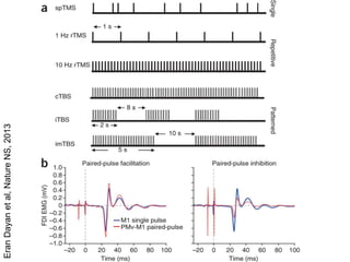 EranDayanetal,NatureNS,2013
 