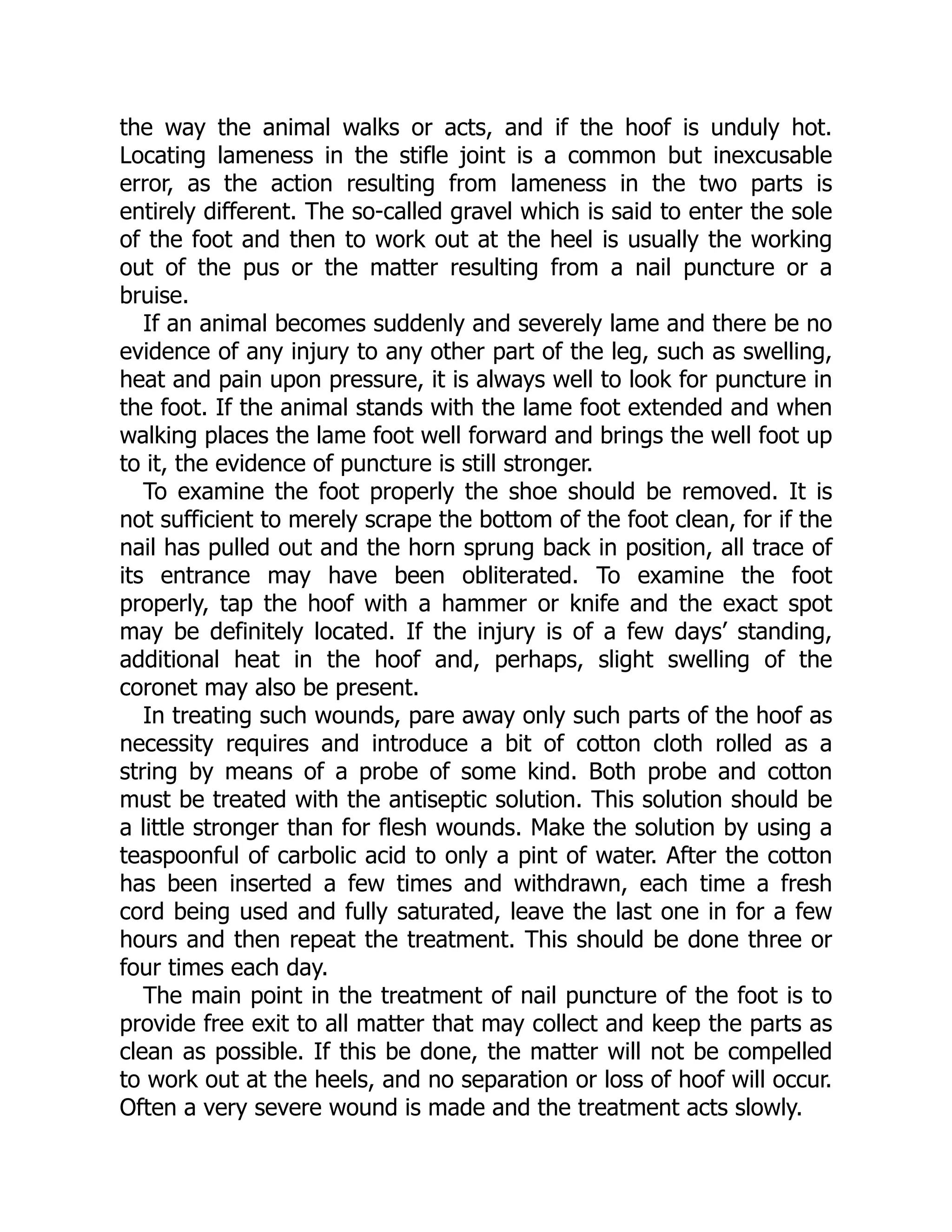 the way the animal walks or acts, and if the hoof is unduly hot.
Locating lameness in the stifle joint is a common but inexcusable
error, as the action resulting from lameness in the two parts is
entirely different. The so-called gravel which is said to enter the sole
of the foot and then to work out at the heel is usually the working
out of the pus or the matter resulting from a nail puncture or a
bruise.
If an animal becomes suddenly and severely lame and there be no
evidence of any injury to any other part of the leg, such as swelling,
heat and pain upon pressure, it is always well to look for puncture in
the foot. If the animal stands with the lame foot extended and when
walking places the lame foot well forward and brings the well foot up
to it, the evidence of puncture is still stronger.
To examine the foot properly the shoe should be removed. It is
not sufficient to merely scrape the bottom of the foot clean, for if the
nail has pulled out and the horn sprung back in position, all trace of
its entrance may have been obliterated. To examine the foot
properly, tap the hoof with a hammer or knife and the exact spot
may be definitely located. If the injury is of a few days’ standing,
additional heat in the hoof and, perhaps, slight swelling of the
coronet may also be present.
In treating such wounds, pare away only such parts of the hoof as
necessity requires and introduce a bit of cotton cloth rolled as a
string by means of a probe of some kind. Both probe and cotton
must be treated with the antiseptic solution. This solution should be
a little stronger than for flesh wounds. Make the solution by using a
teaspoonful of carbolic acid to only a pint of water. After the cotton
has been inserted a few times and withdrawn, each time a fresh
cord being used and fully saturated, leave the last one in for a few
hours and then repeat the treatment. This should be done three or
four times each day.
The main point in the treatment of nail puncture of the foot is to
provide free exit to all matter that may collect and keep the parts as
clean as possible. If this be done, the matter will not be compelled
to work out at the heels, and no separation or loss of hoof will occur.
Often a very severe wound is made and the treatment acts slowly.
 