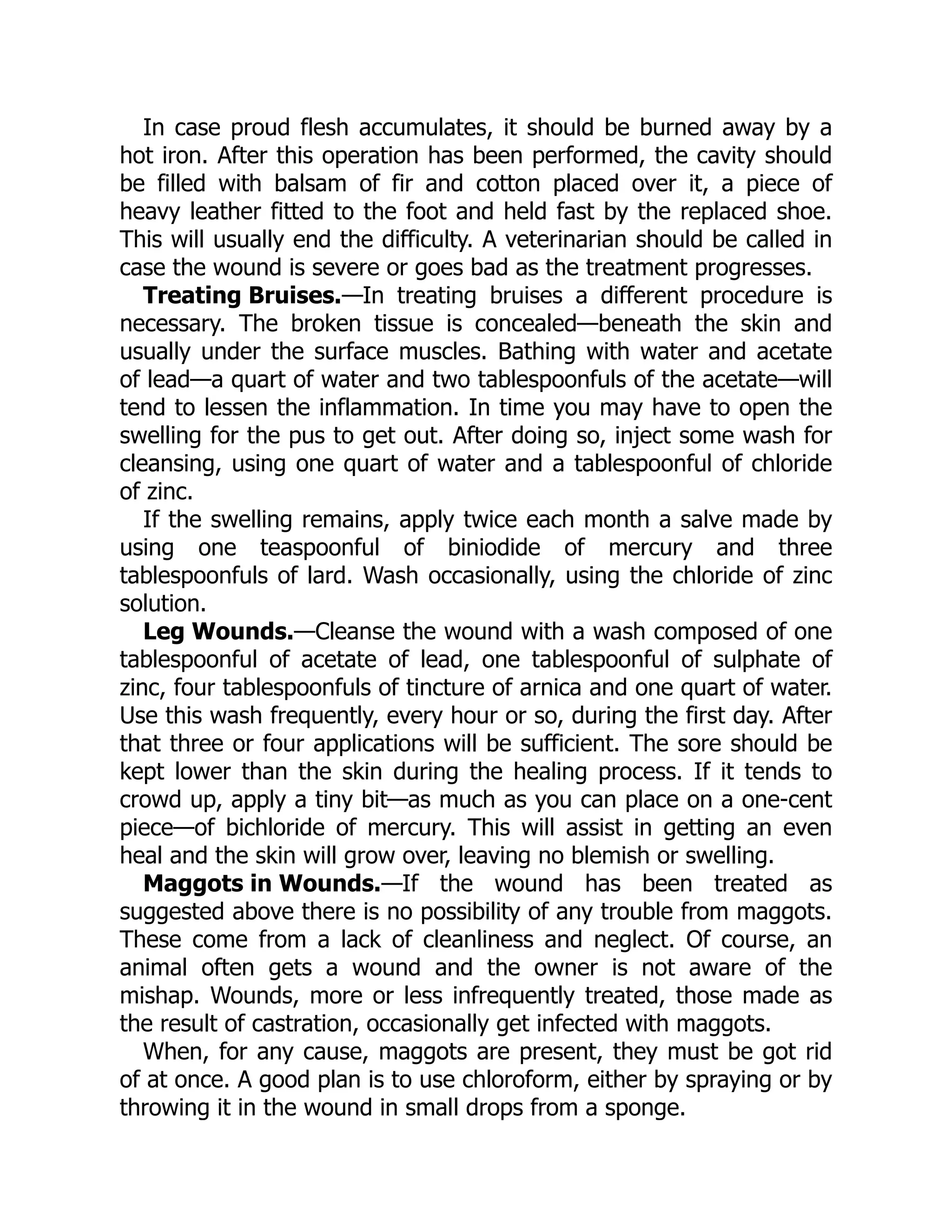 Treating Bruises.
Leg Wounds.
Maggots in Wounds.
In case proud flesh accumulates, it should be burned away by a
hot iron. After this operation has been performed, the cavity should
be filled with balsam of fir and cotton placed over it, a piece of
heavy leather fitted to the foot and held fast by the replaced shoe.
This will usually end the difficulty. A veterinarian should be called in
case the wound is severe or goes bad as the treatment progresses.
—In treating bruises a different procedure is
necessary. The broken tissue is concealed—beneath the skin and
usually under the surface muscles. Bathing with water and acetate
of lead—a quart of water and two tablespoonfuls of the acetate—will
tend to lessen the inflammation. In time you may have to open the
swelling for the pus to get out. After doing so, inject some wash for
cleansing, using one quart of water and a tablespoonful of chloride
of zinc.
If the swelling remains, apply twice each month a salve made by
using one teaspoonful of biniodide of mercury and three
tablespoonfuls of lard. Wash occasionally, using the chloride of zinc
solution.
—Cleanse the wound with a wash composed of one
tablespoonful of acetate of lead, one tablespoonful of sulphate of
zinc, four tablespoonfuls of tincture of arnica and one quart of water.
Use this wash frequently, every hour or so, during the first day. After
that three or four applications will be sufficient. The sore should be
kept lower than the skin during the healing process. If it tends to
crowd up, apply a tiny bit—as much as you can place on a one-cent
piece—of bichloride of mercury. This will assist in getting an even
heal and the skin will grow over, leaving no blemish or swelling.
—If the wound has been treated as
suggested above there is no possibility of any trouble from maggots.
These come from a lack of cleanliness and neglect. Of course, an
animal often gets a wound and the owner is not aware of the
mishap. Wounds, more or less infrequently treated, those made as
the result of castration, occasionally get infected with maggots.
When, for any cause, maggots are present, they must be got rid
of at once. A good plan is to use chloroform, either by spraying or by
throwing it in the wound in small drops from a sponge.
 