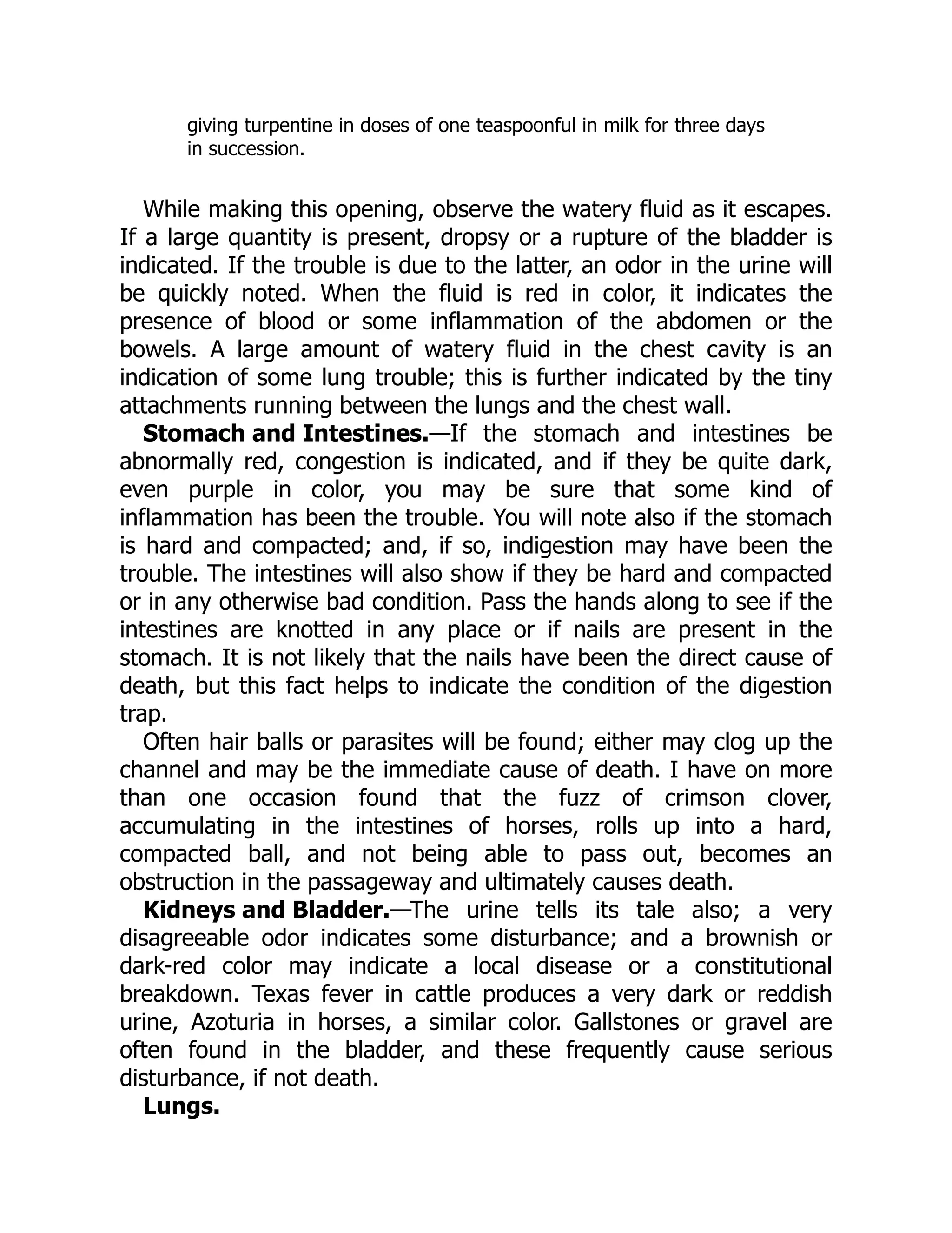 Stomach and Intestines.
Kidneys and Bladder.
Lungs.
giving turpentine in doses of one teaspoonful in milk for three days
in succession.
While making this opening, observe the watery fluid as it escapes.
If a large quantity is present, dropsy or a rupture of the bladder is
indicated. If the trouble is due to the latter, an odor in the urine will
be quickly noted. When the fluid is red in color, it indicates the
presence of blood or some inflammation of the abdomen or the
bowels. A large amount of watery fluid in the chest cavity is an
indication of some lung trouble; this is further indicated by the tiny
attachments running between the lungs and the chest wall.
—If the stomach and intestines be
abnormally red, congestion is indicated, and if they be quite dark,
even purple in color, you may be sure that some kind of
inflammation has been the trouble. You will note also if the stomach
is hard and compacted; and, if so, indigestion may have been the
trouble. The intestines will also show if they be hard and compacted
or in any otherwise bad condition. Pass the hands along to see if the
intestines are knotted in any place or if nails are present in the
stomach. It is not likely that the nails have been the direct cause of
death, but this fact helps to indicate the condition of the digestion
trap.
Often hair balls or parasites will be found; either may clog up the
channel and may be the immediate cause of death. I have on more
than one occasion found that the fuzz of crimson clover,
accumulating in the intestines of horses, rolls up into a hard,
compacted ball, and not being able to pass out, becomes an
obstruction in the passageway and ultimately causes death.
—The urine tells its tale also; a very
disagreeable odor indicates some disturbance; and a brownish or
dark-red color may indicate a local disease or a constitutional
breakdown. Texas fever in cattle produces a very dark or reddish
urine, Azoturia in horses, a similar color. Gallstones or gravel are
often found in the bladder, and these frequently cause serious
disturbance, if not death.
 