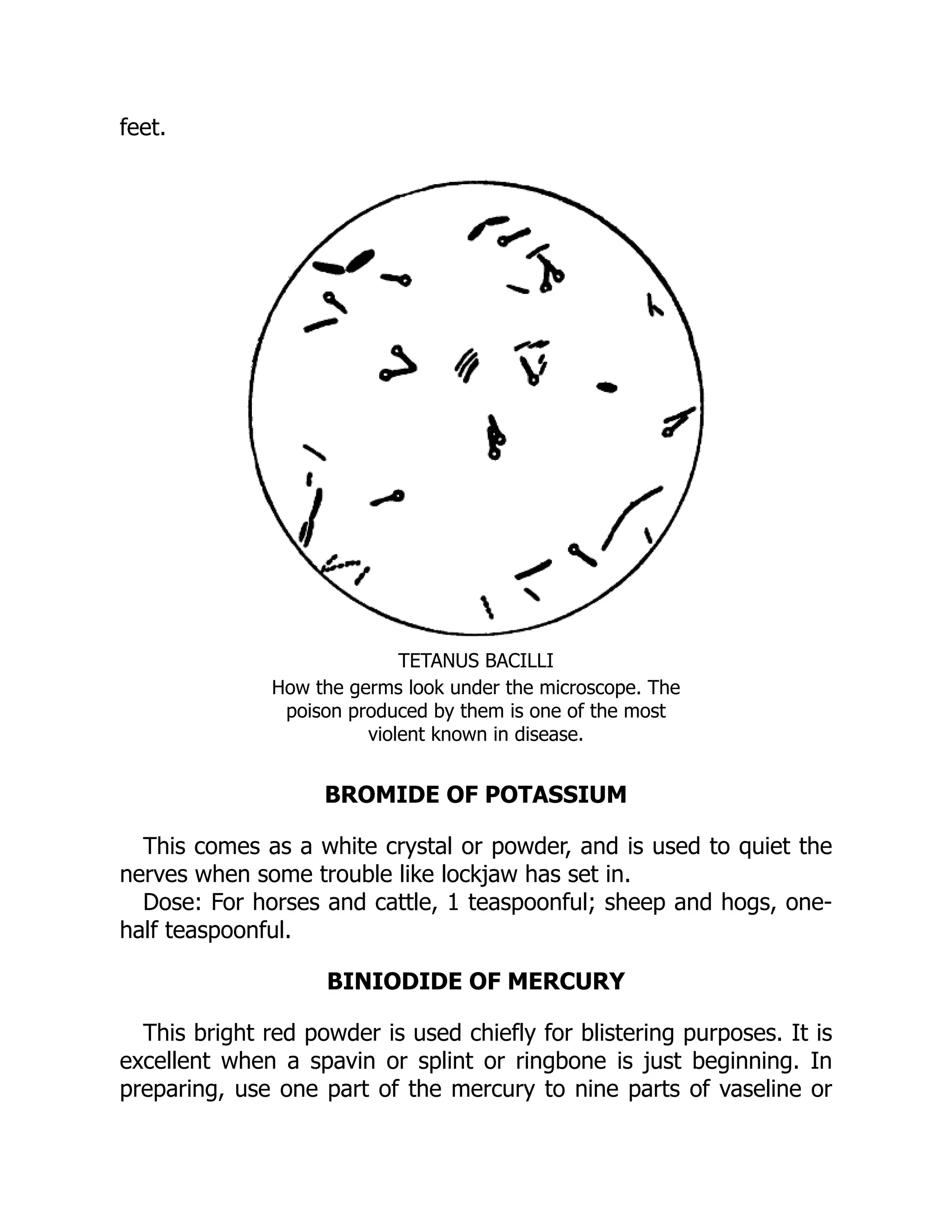 feet.
TETANUS BACILLI
How the germs look under the microscope. The
poison produced by them is one of the most
violent known in disease.
BROMIDE OF POTASSIUM
This comes as a white crystal or powder, and is used to quiet the
nerves when some trouble like lockjaw has set in.
Dose: For horses and cattle, 1 teaspoonful; sheep and hogs, one-
half teaspoonful.
BINIODIDE OF MERCURY
This bright red powder is used chiefly for blistering purposes. It is
excellent when a spavin or splint or ringbone is just beginning. In
preparing, use one part of the mercury to nine parts of vaseline or
 