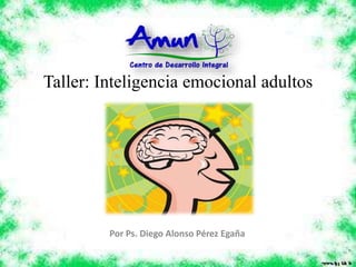 Taller: Inteligencia emocional adultos
Por Ps. Diego Alonso Pérez Egaña
 