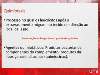 Quimiotaxia
•Processo no qual os leucócitos após o
extravasamento migram no tecido em direção ao
local da lesão.
Locomoção ao longo de um gradiente químico.
•Agentes quimiotáticos: Produtos bacterianos;
componentes do complemento; produtos da
lipoxigenase; citocinas (quimiocinas).
 