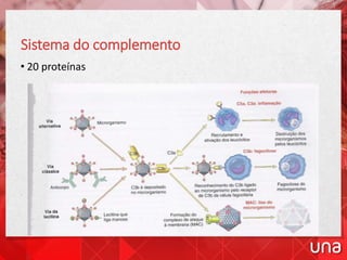 Sistema do complemento
• 20 proteínas
 