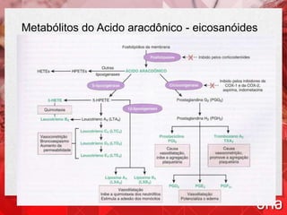 Metabólitos do Acido aracdônico - eicosanóides
 