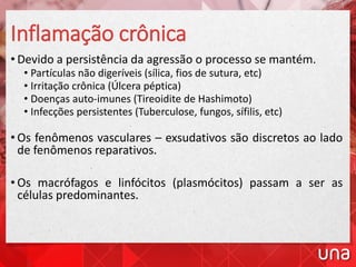 Inflamação crônica
• Devido a persistência da agressão o processo se mantém.
• Partículas não digeríveis (sílica, fios de sutura, etc)
• Irritação crônica (Úlcera péptica)
• Doenças auto-imunes (Tireoidite de Hashimoto)
• Infecções persistentes (Tuberculose, fungos, sífilis, etc)
• Os fenômenos vasculares – exsudativos são discretos ao lado
de fenômenos reparativos.
• Os macrófagos e linfócitos (plasmócitos) passam a ser as
células predominantes.
 