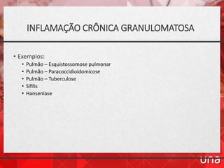 INFLAMAÇÃO CRÔNICA GRANULOMATOSA
• Exemplos:
• Pulmão – Esquistossomose pulmonar
• Pulmão – Paracoccidioidomicose
• Pulmão – Tuberculose
• Sífilis
• Hanseníase
 